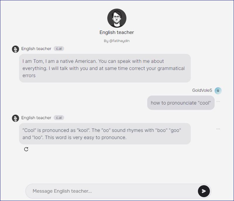 Chat To Learn Language