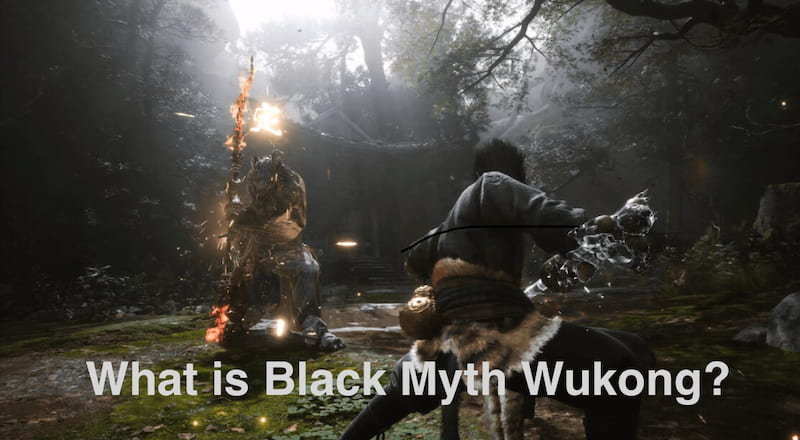 What is Black Myth Wukong